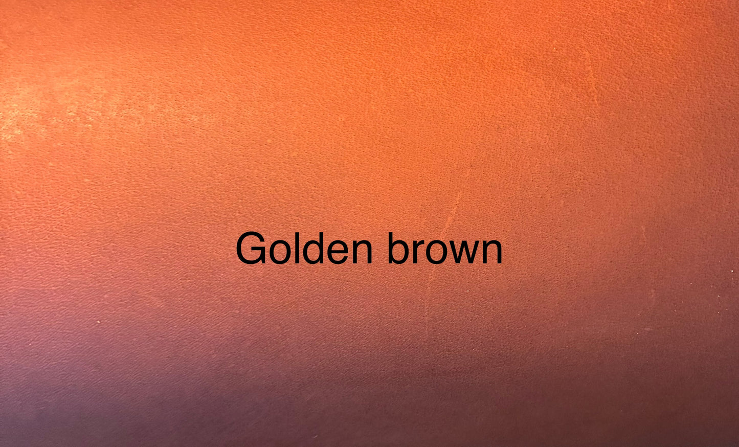 Leatherman multi-tool holster